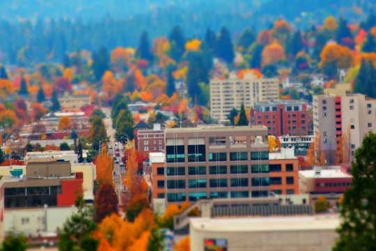 Aerial View in Eugene Oregon