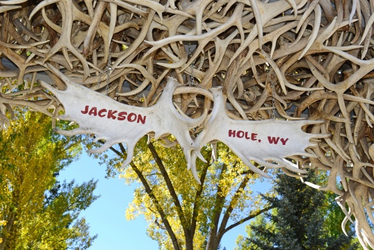 Moose Antler Arch, Jackson Hole Wyoming. Shaft, bow.