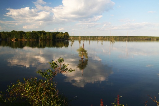 Conway Lake in Conway Arkansas