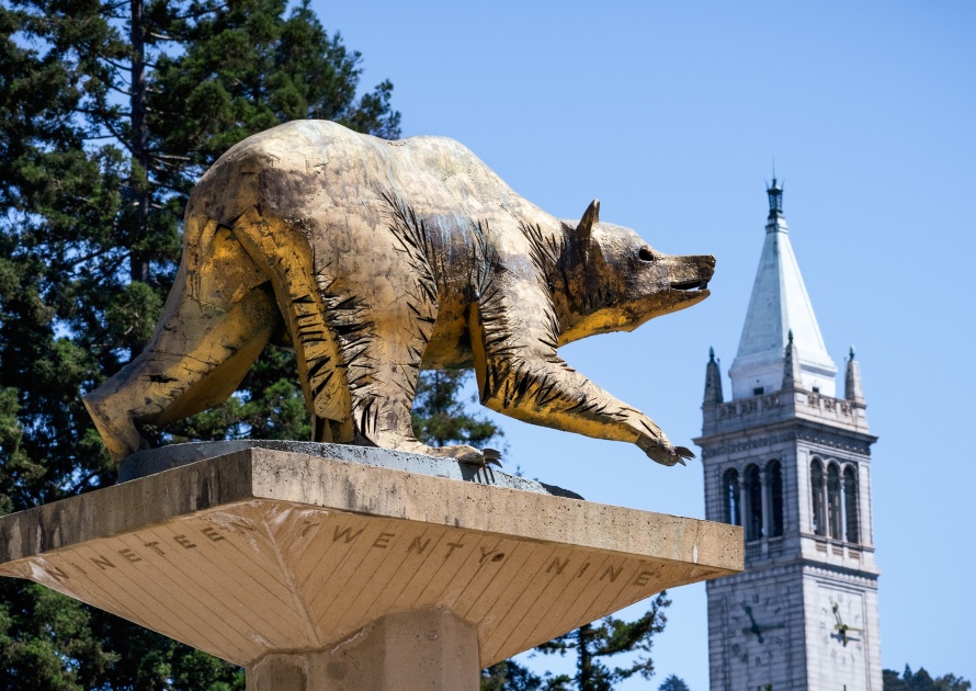 Bear Golden Statue in campus, Berkeley California