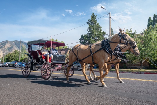 Heritage horse carriage taken in Logan town center, Utah, United States