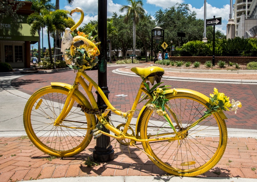 İcycle from the city of Sarasota, Florida, United States