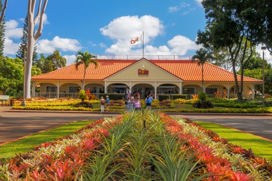 MILILANI, UNITED STATES OF AMERICA - JANUARY 12, 2015: a view of the dole pineapple plantation at mililani in hawaii